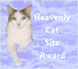 Cat Anna Heavenly