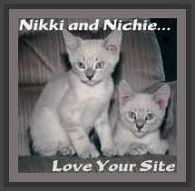 Nikki & Nichie