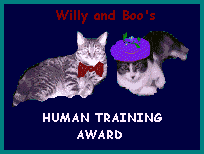 Willy Boo