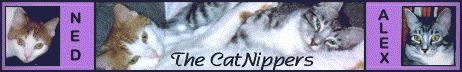 Catnippers Banner