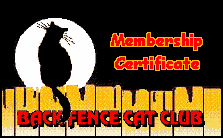 Back Fence Club