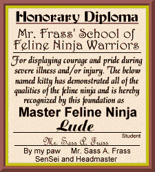 Master Lude Card