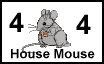 housemouse