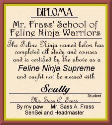 Scully diploma