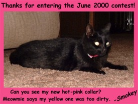 Smokey's June Contest