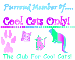Cool Cats Only-no known addy